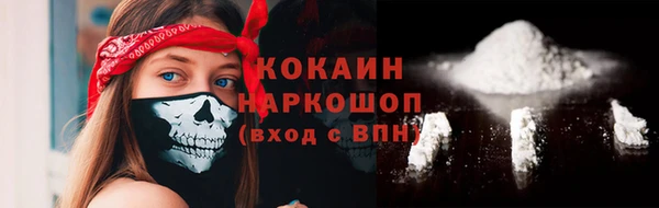 гашик Дмитровск
