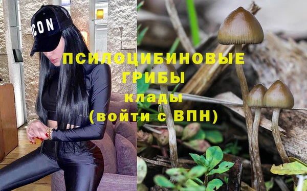 а пвп мука Дмитриев