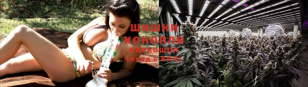 гашик Дмитровск