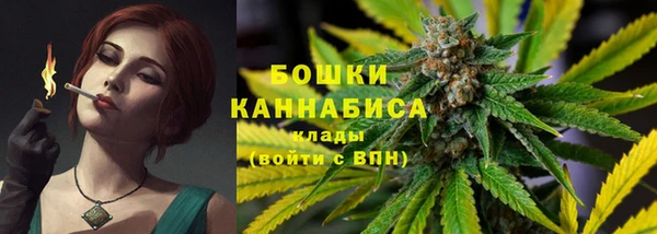 гашик Дмитровск